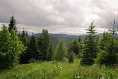 Ukraynalı Karpat Dağları