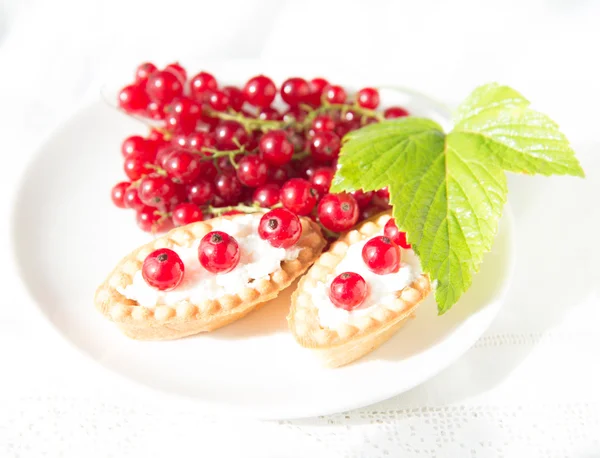 신선한 딸기와 tartlets — 스톡 사진