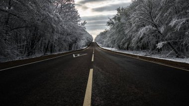 Bir kış ormanında asfalt boş yol