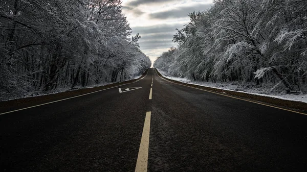 Asfalto Estrada Vazia Uma Floresta Inverno — Fotografia de Stock