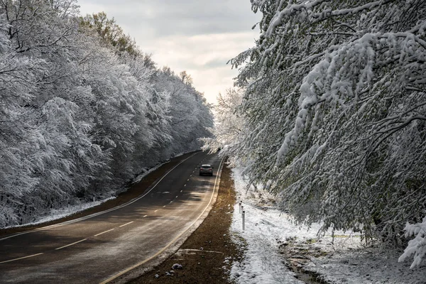 冬季森林中的沥青路 — 图库照片