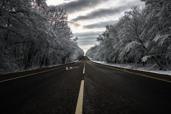 Asphalt Empty Road Winter Forest — Stock Photo, Image