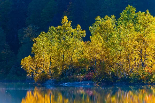 Kardyvach Horské Jezero Odrazy Podzimní Krajina Horách Kavkazu Soči Rusko — Stock fotografie