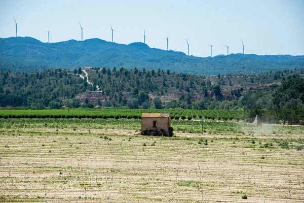 Windräder Erzeugen Strom Vor Blauem Himmel Grünes Konzept Für Erneuerbare — Stockfoto