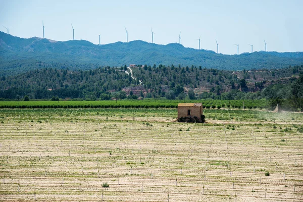 Turbine Eoliche Che Generano Elettricità Sfondo Cielo Blu Concetto Energia — Foto Stock