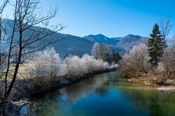 冬天的早晨在山上 特里格拉夫国家公园 欧洲斯洛文尼亚的Julian Alps — 图库照片