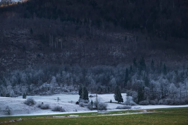 Zimowy Poranek Górach Park Narodowy Triglav Alpy Julijskie Słowenii Europa — Zdjęcie stockowe