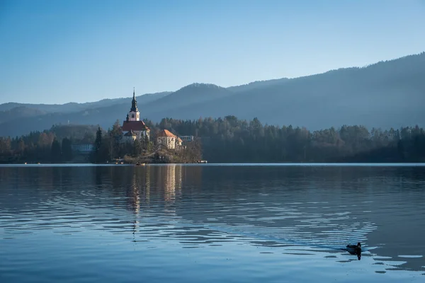 Блакитне Озеро Національному Парку Триглава Юліанські Альпи Словенії Європа — стокове фото