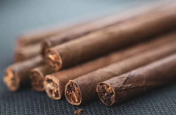 Little Aroma Cigars Close Tobacco Smoking Concept Little Depth Field — Zdjęcie stockowe