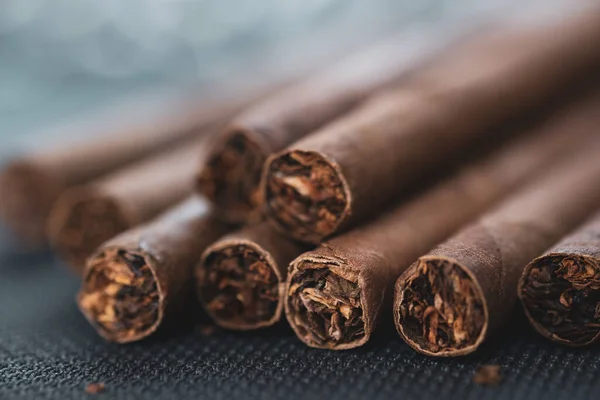 Little Aroma Cigars Close — Zdjęcie stockowe