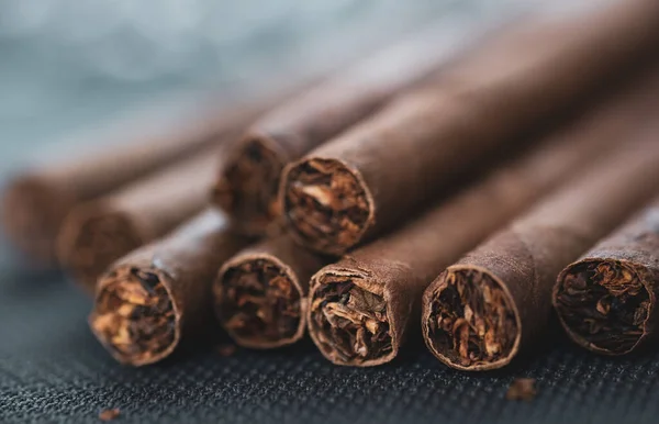 Little Aroma Cigars Close Tobacco Smoking Concept Selective Focus Little — Zdjęcie stockowe