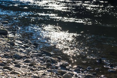 Karpat Ormanı. Karpatlar 'daki küçük dağ nehri.