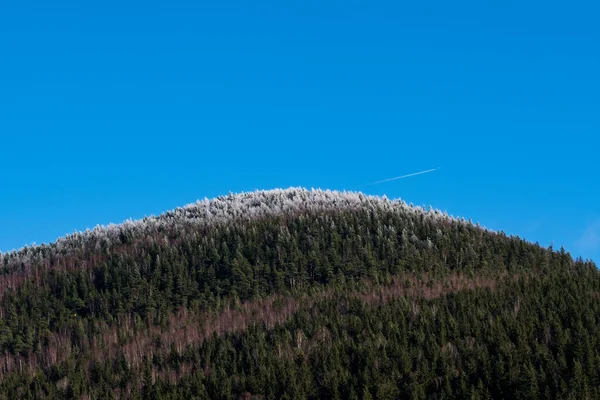 Les Pentes Des Montagnes Sont Couvertes Forêts Pins — Photo