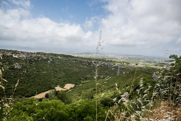 Summer Landscape View Garraf Olerdola Catalonia Spain — Stock Photo, Image