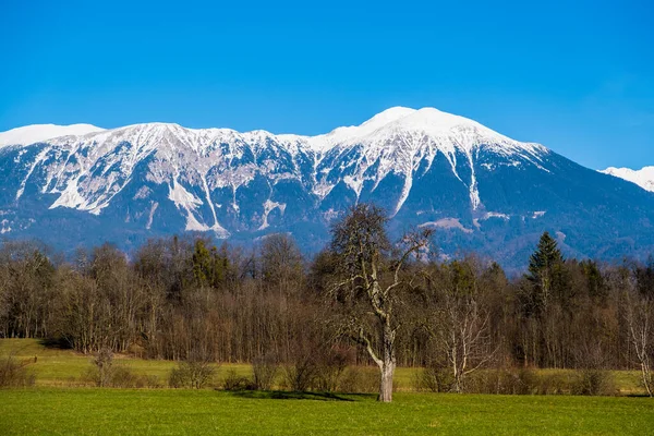 Vintermorgon Bergen Triglav Nationalpark Julian Alperna Slovenien Europa — Stockfoto