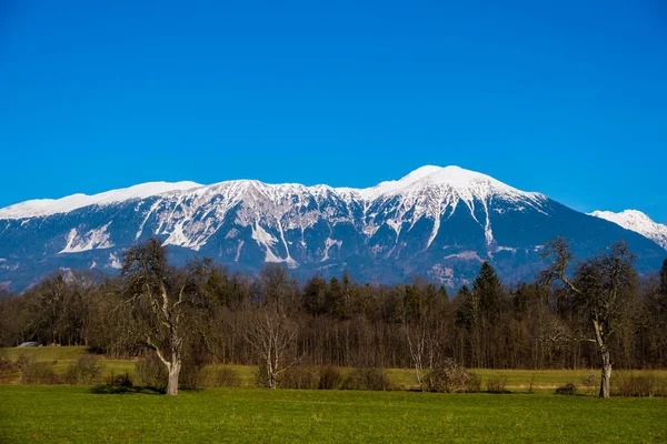 Vintermorgon Bergen Triglav Nationalpark Julian Alperna Slovenien Europa — Stockfoto