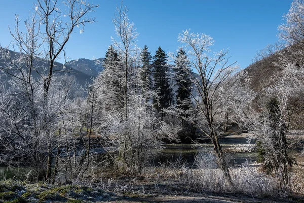 Mattina Invernale Sul Lago Parco Nazionale Del Triglav Alpi Giulie — Foto Stock