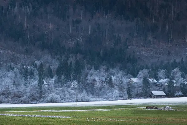 Zimní Ráno Vesnických Horách Národní Park Triglav Julian Alps Slovinsku — Stock fotografie