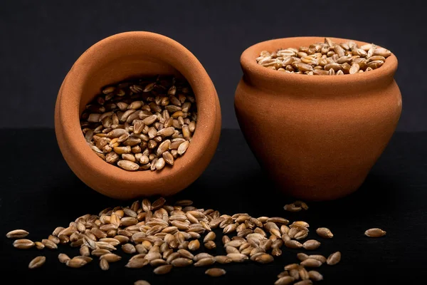 Emmer Wheat Hulled Wheat Pots — Stock Photo, Image