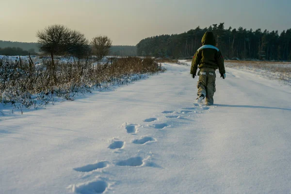小さな男の子の後ろの自然を歩いて表示します 雪の中の足跡 健康的な生活 — ストック写真