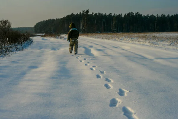 小さな男の子の後ろの自然を歩いて表示します 雪の中の足跡 健康的な生活 — ストック写真