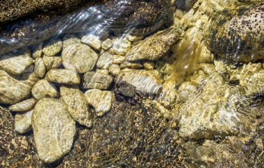 Temiz deniz suyunda sığ sularda yengeç. Parlak ve renkli çakıl taşları, suyun altında küçük taşlar