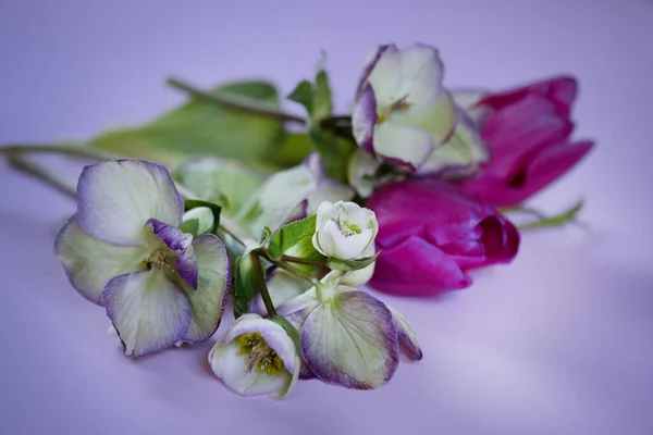 Buquê Flores Primavera Páscoa Primavera Cartão Saudação Conceito Dia Mulher — Fotografia de Stock