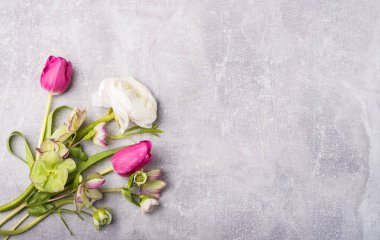 Bahar çiçeği buketi. Paskalya ve bahar tebrik kartı. Kadın günü konsepti. Bahar bayrağı. Metin için alanı kopyala