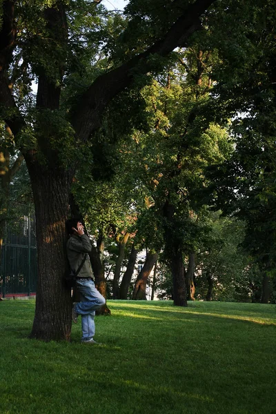 Man Stands Tree Talks Phone — Fotografia de Stock