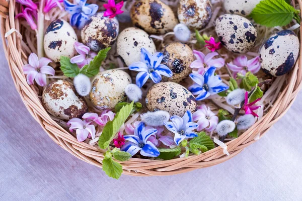 Feliz Pascua Cesta Mimbre Con Huevos Pascua Flores Brillantes Primavera —  Fotos de Stock
