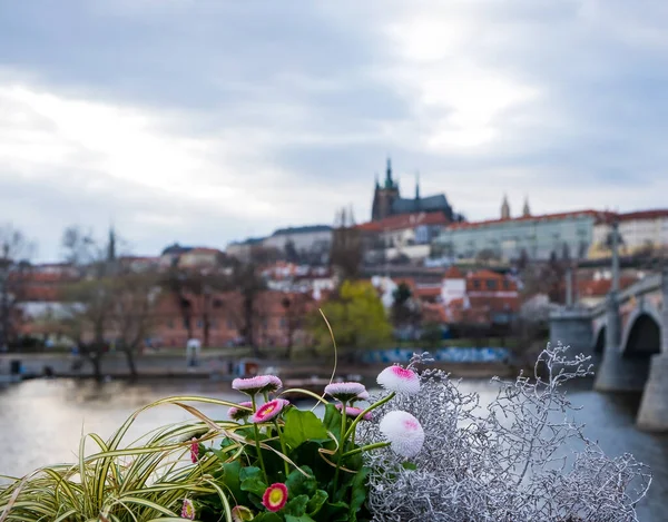 Различные Цвета Весенний Горшок Цветущие Цветы Открытом Воздухе Старая Прага — стоковое фото