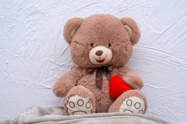 oyuncak ayı kırmızı bir kalp taşıyor.