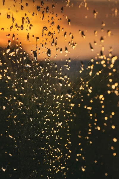 Raindrops Window Sunset Sky Background — Stockfoto