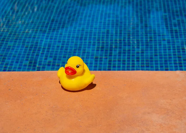 Gul Gummianka Nära Den Blå Poolen Glad Semester Livsstil Avslappning — Stockfoto