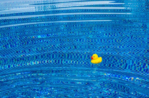 Желтая Резиновая Утка Возле Голубого Бассейна Счастливый Отпускной Образ Жизни — стоковое фото