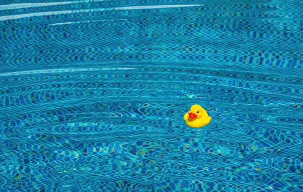 Yellow Rubber Duck Blue Swimming Pool Happy Vacation Lifestyle Relaxation — Stock Photo, Image