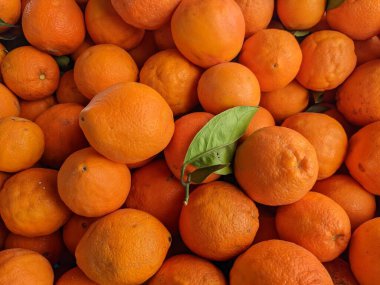 Tangerines as a background. Big pile of ripe tangerines