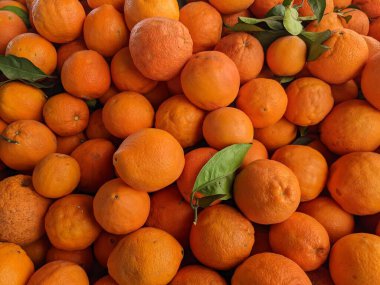 Tangerines as a background. Big pile of ripe tangerines