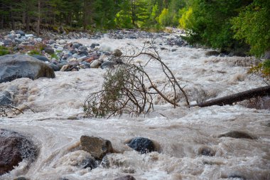 Kafkasya dağlarında Azau Nehri (Baksan). Baksan, Elbrus 'un buzullarından gelmektedir. Kabardino-Balkaria, Rusya