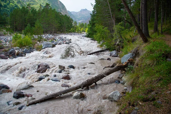 Kafkasya Dağlarında Azau Nehri Baksan Baksan Elbrus Buzullarından Gelmektedir Kabardino — Stok fotoğraf