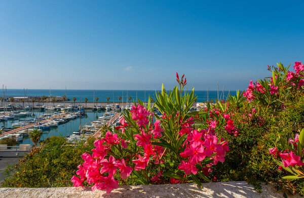 Pink flowers of oleander on the background of the sea and boats. Mediterranean sea. Summer holidays, vacation and travel concept