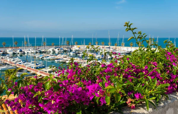 Flores Buganvilla Púrpura Fondo Del Mar Los Barcos Mar Mediterráneo — Foto de Stock