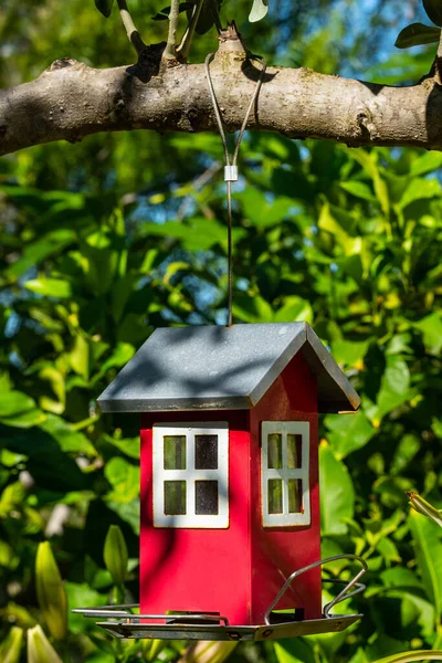 Bird feeder in the form of a house on a tree branch in the garden. Bird care