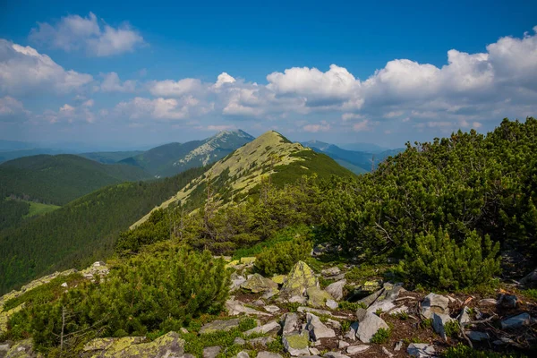 Colorful Natural Summer Landscape Carpathian Mountains Landscape Summer Mountains Wallpaper — Foto Stock