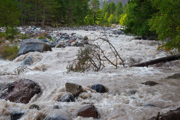 Kafkasya Dağlarında Azau Nehri Baksan Baksan Elbrus Buzullarından Gelmektedir Kabardino — Stok fotoğraf