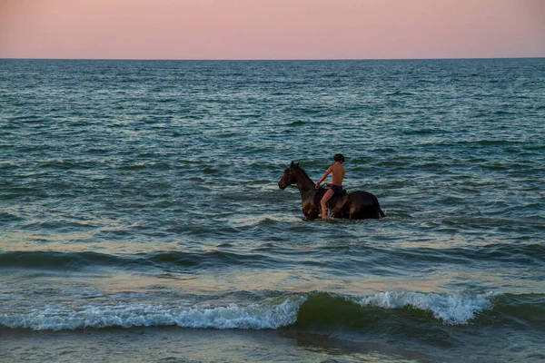 Boy rider on a horse in the sea. Sport, leisure and travel concepts