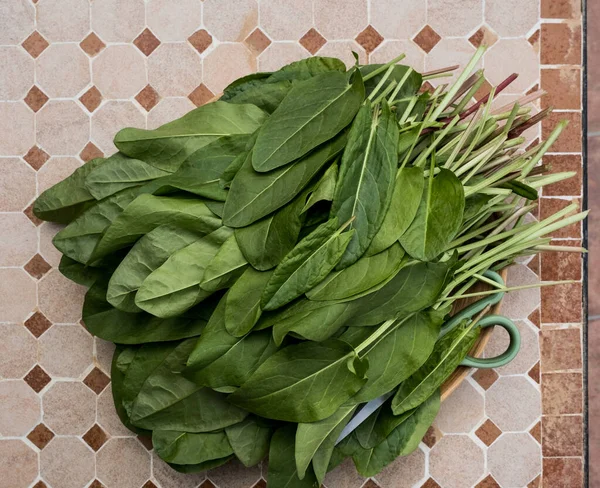 Fresh Raw Organic Sorrel Plant Wooden Bowl Table Useful Vegetable — Fotografia de Stock