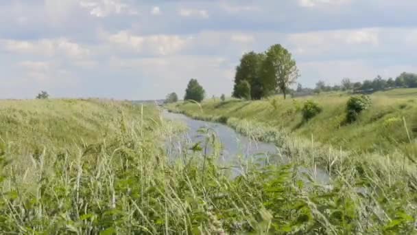 Krajobraz Ukrainy Krajobraz Łąką Rzeką Letni Wietrzny Dzień Przed Burzą — Wideo stockowe