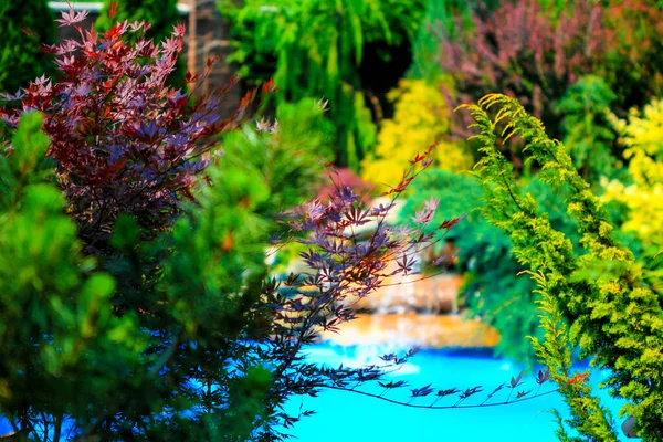 Colorful home garden with blue pond, blurred background, shallow depth of field. The concept of home garden comfort