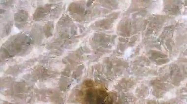 Sea water waves on sandy beach. Algae in clear sea water near the shore